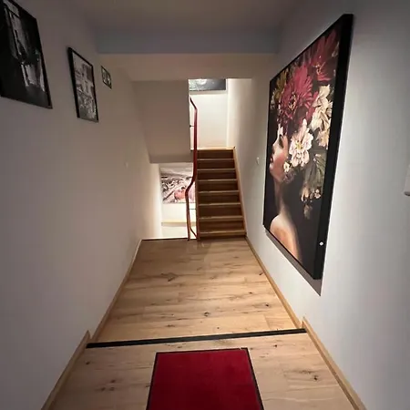 公寓 Apartmenthaus Wagner Möckmühl